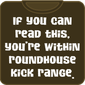 If you can read this you are within roundhouse kick range t shirt